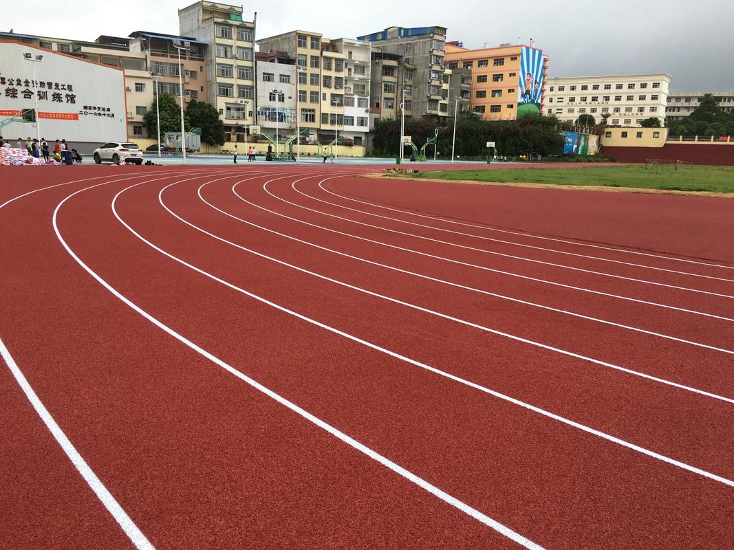 昭通市硅PU塑胶跑道材料 - 价格